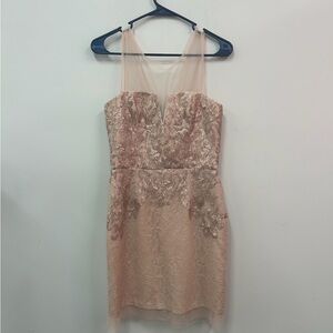 BCBGMaxAzria Dusty Rose Mini Dress Shear Top Sz 6